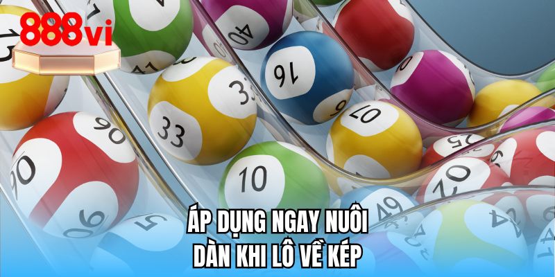 Áp dụng ngay nuôi dàn khi lô về kép